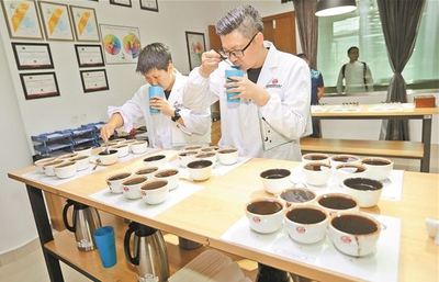 云南(国际)咖啡交易中心 成为国内外咖啡重要交易平台