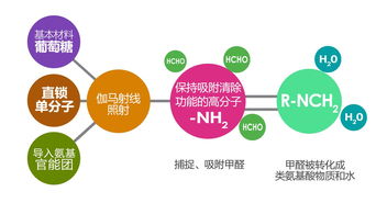 荃芬除甲醛原理图片