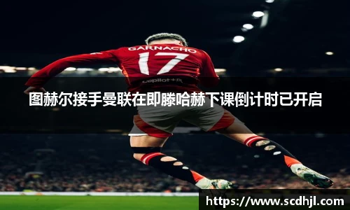 韦德体育官网